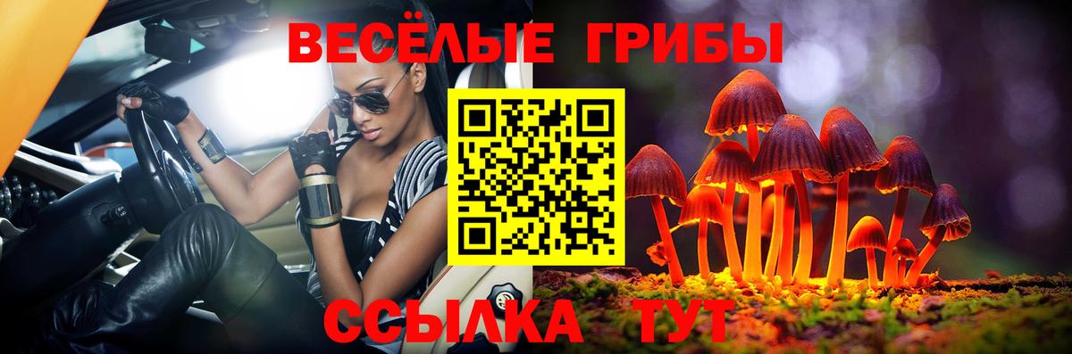 Псилоцибиновые грибы ЛСД Краснознаменск